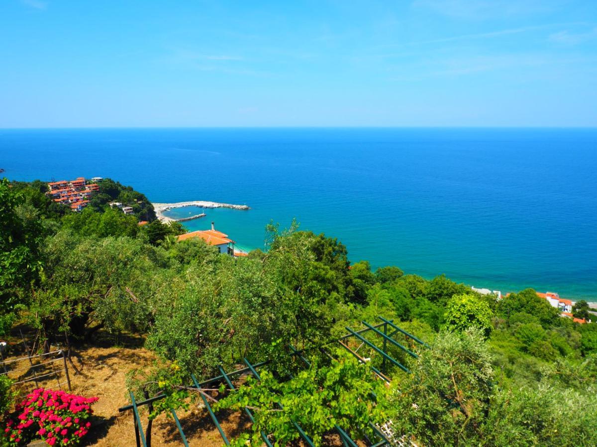Felitsia Apartments & Studios Agios Ioannis  Экстерьер фото