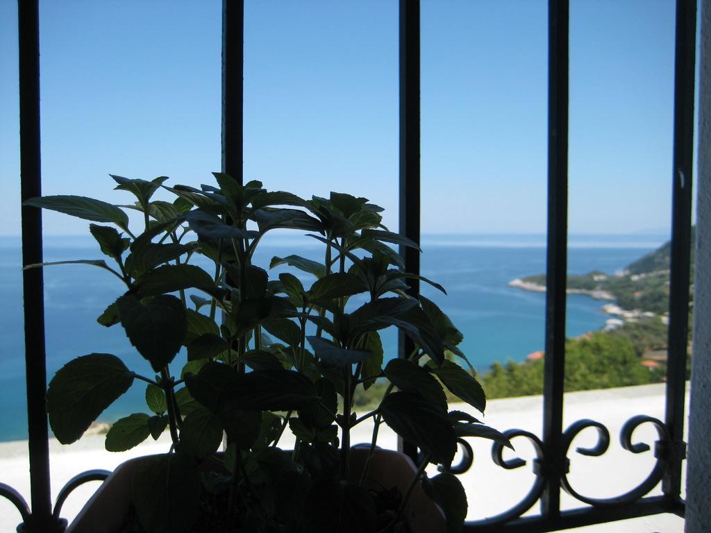Felitsia Apartments & Studios Agios Ioannis  Экстерьер фото